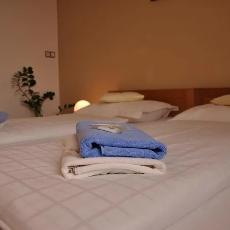 Hotel Lions