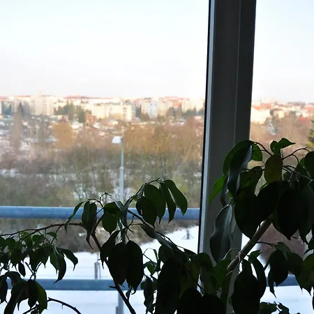 Hotel Lions