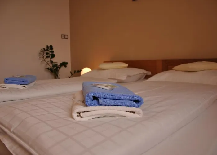 Hotel Lions