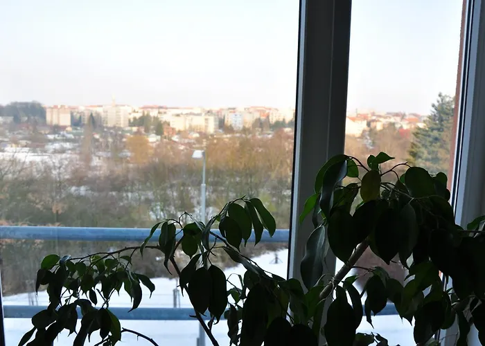 Hotel Lions 3*